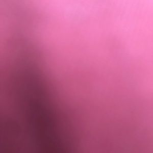 Meet your Posher, Walt